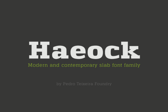 Haeock Family: A Vintage Slab Serif Font for Branding